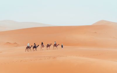 A Fascinating 4-Day Tour from Fes to Marrakech: Journey Through Morocco’s Historic Sites, Scenic Deserts, and Lively Markets