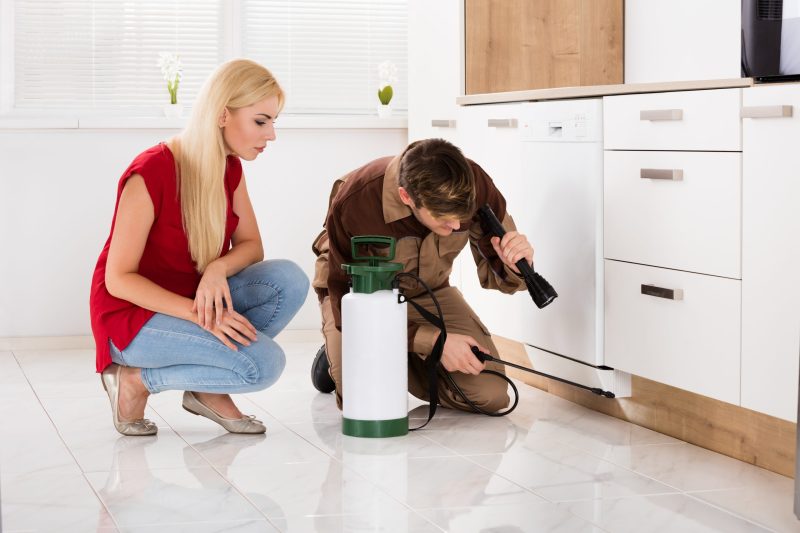 Pet Owners Across Australia Rely on Flea Treatment Tips for Lasting Relief