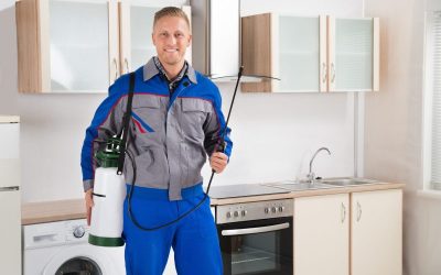 Enjoy a PestFree Home with a Trusted Exterminator in Cedar Grove NJ for Fast Relief