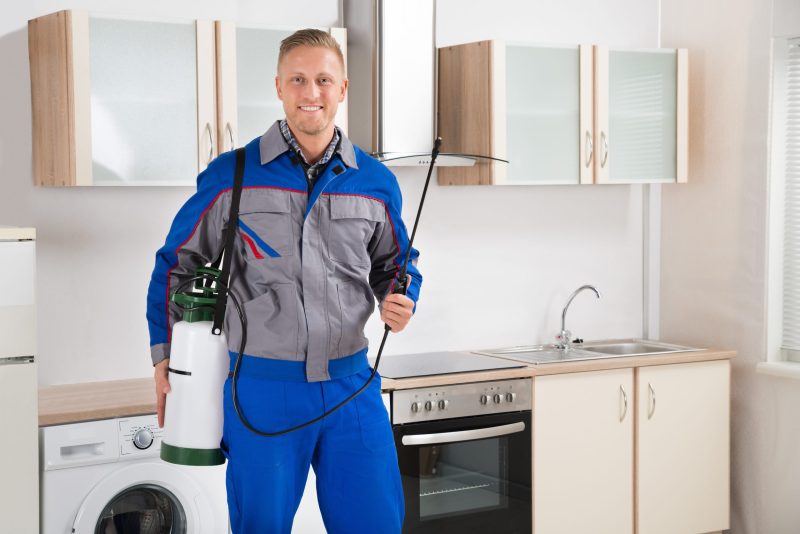 Enjoy a PestFree Home with a Trusted Exterminator in Cedar Grove NJ for Fast Relief