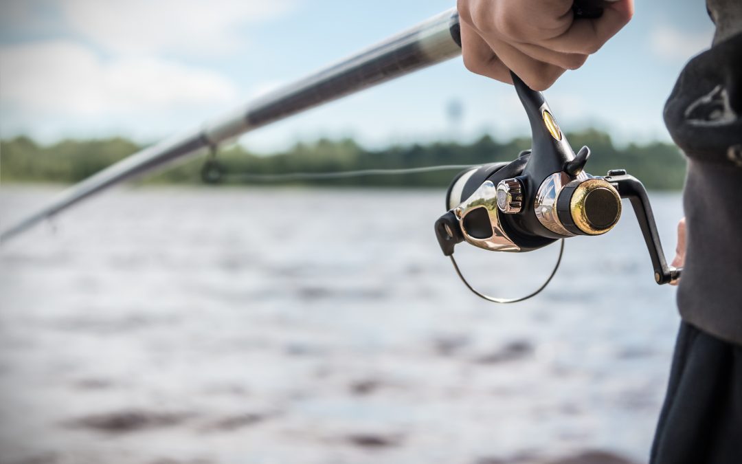 Make Memories on Wild Rivers by Booking Guided Fly Fishing Montana Trips with Local Guides