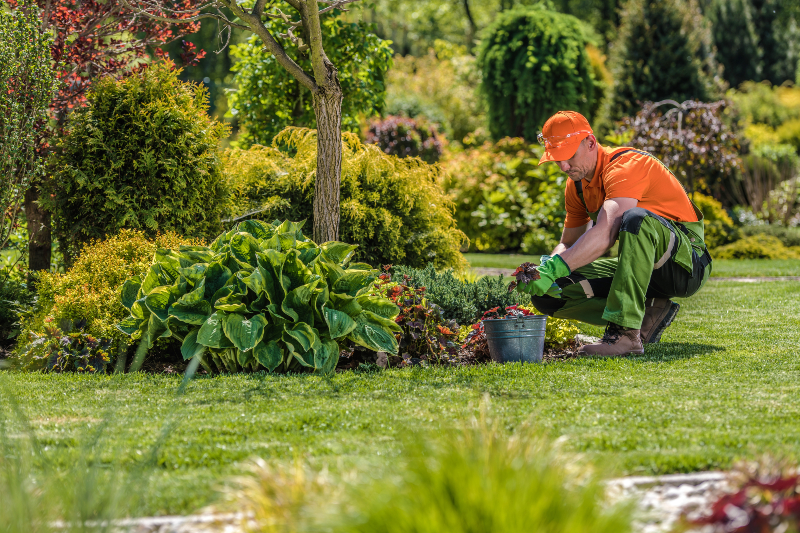 Secrets to Beautiful Yards Using Landscape Maintenance Prescott AZ Homeowners Trust