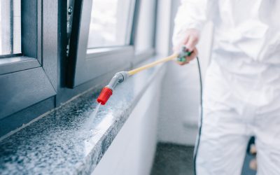 Protect Your Business Reputation with Commercial Pest Control Services Parrish FL Experts