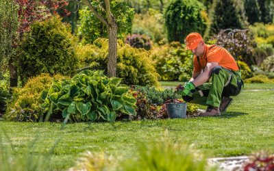 Create Peaceful Gardens With the Help of a Dedicated Landscaper Spanaway WA Relies On