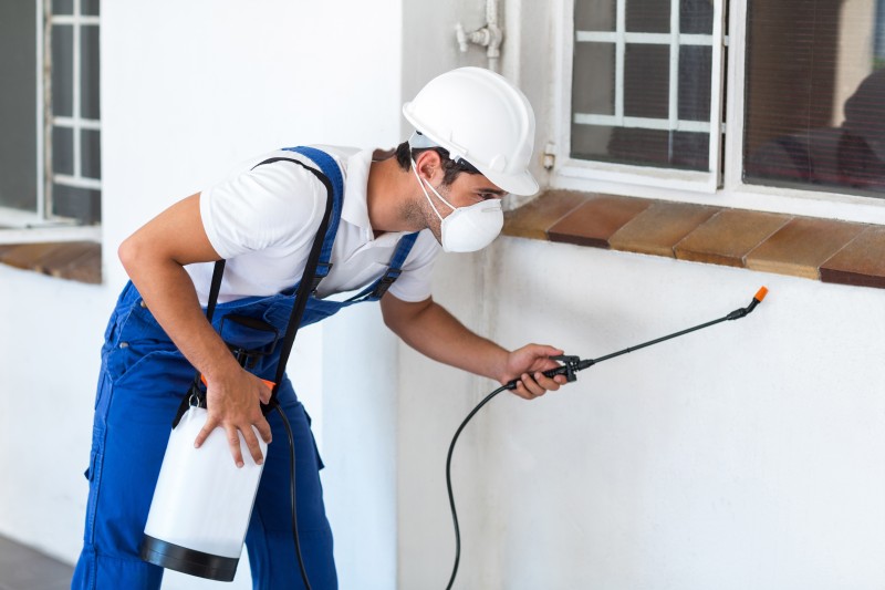 Safeguard Your Home and Health Through Pest Removal in Falmouth, MA, Expertise