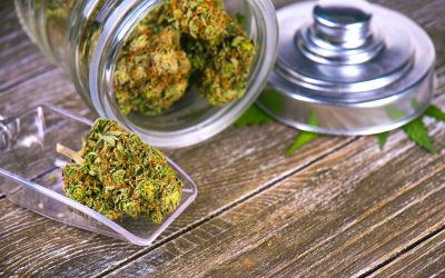 Learn How THCA Concentrates Can Improve Your Wellness Routine and Support Natural Relief