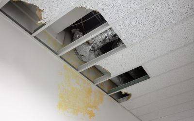 Homeowners in Need of Sheetrock Repair Rome GA Benefit from Quality Local Solutions