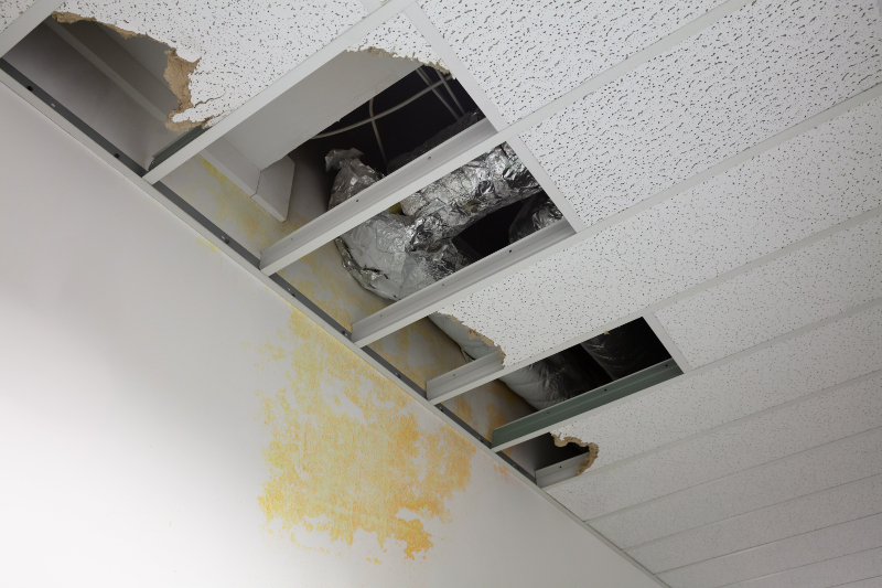 Homeowners in Need of Sheetrock Repair Rome GA Benefit from Quality Local Solutions