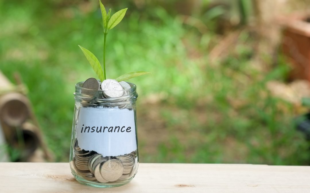 Protect Your Crops and Livestock with Smart Farm Insurance Kirksville MO Solutions