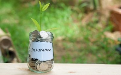 Protect Your Crops and Livestock with Smart Farm Insurance Kirksville MO Solutions