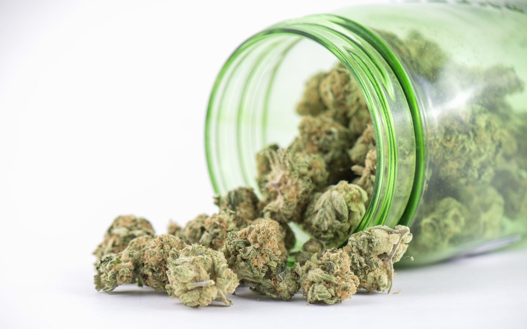 Finding quality choices at dispensaries in Springfield, MA for medical and recreational users