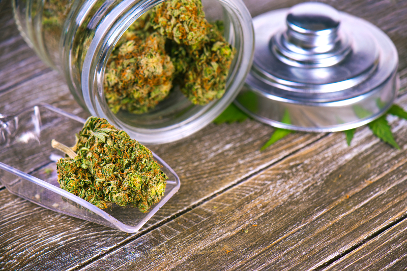 The Science Behind Premium THCA Flower and Its Impact on Everyday Relaxation